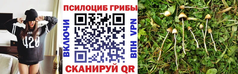 Галлюциногенные грибы Magic Shrooms  Купить закладки  Никольск 