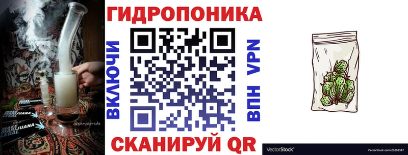 Купить где Никольск Канабис Amnesia